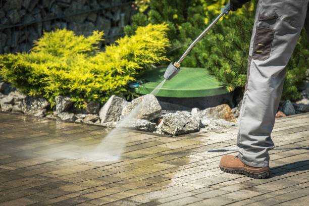 Best Roof Washing  in Wheaton, MD